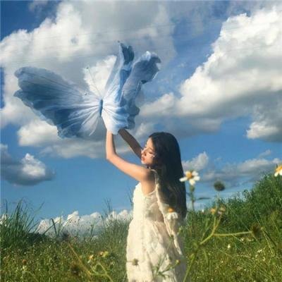 蝗虫末日